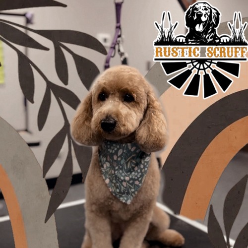 Grooming work 38