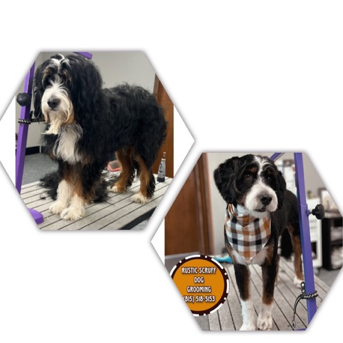 Grooming work 21
