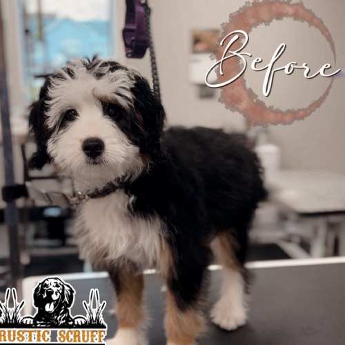 Grooming work 6