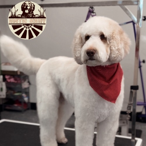Grooming work 4